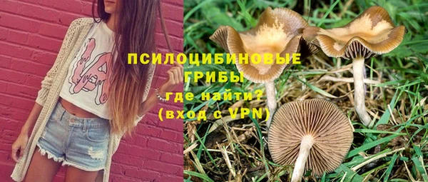 экстази Богородицк