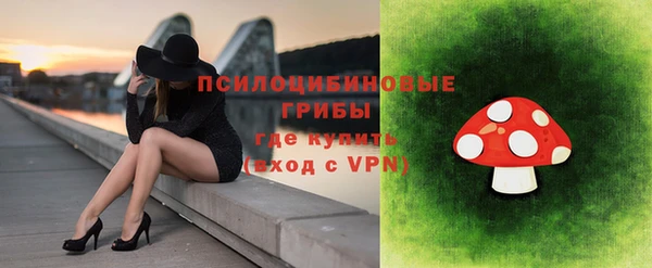 экстази Богородицк
