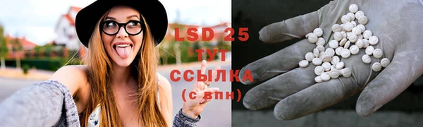 гидропоника Белокуриха