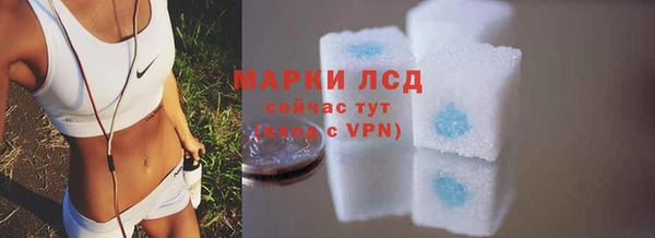 гидропоника Белокуриха