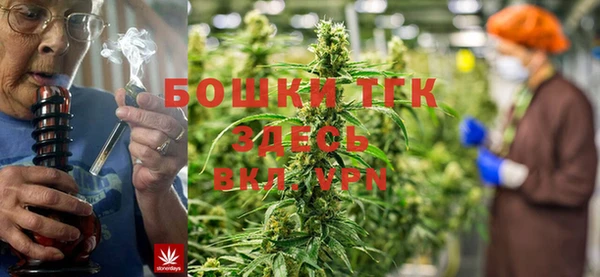 молекула духа Балахна