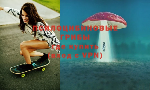 первитин Богданович