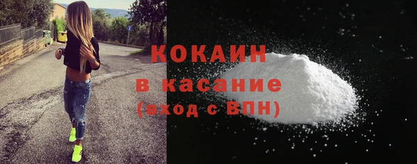 шишки Богородск