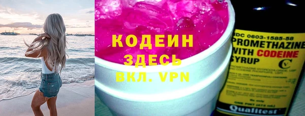 шишки Богородск