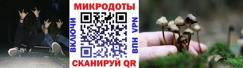Псилоцибиновые грибы Cubensis  купить закладку  Ижевск 